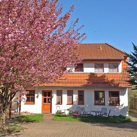 Landpension Zum Kleinen Urlaub Wredenhagen Room photo